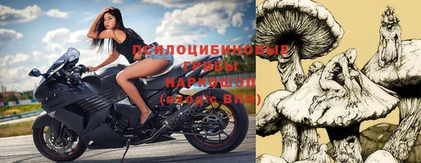 спайс Медвежьегорск