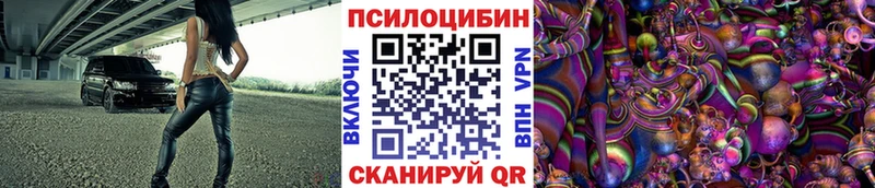 Псилоцибиновые грибы Psilocybine cubensis Екатеринбург
