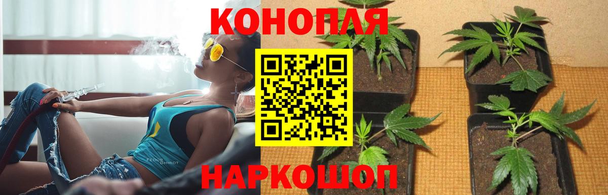 Каннабис план  Вход с VPN  Екатеринбург  Каннабис тримм  Бошки Шишки сатива 